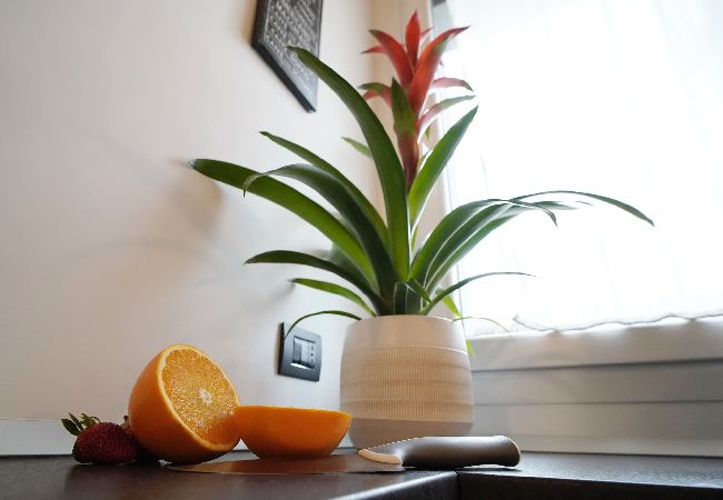 Studio a Milano - Palazzo Candiani - Luminoso monolocale con balcone Studio a Milano - Palazzo Candiani - Luminoso monolocale con balcone