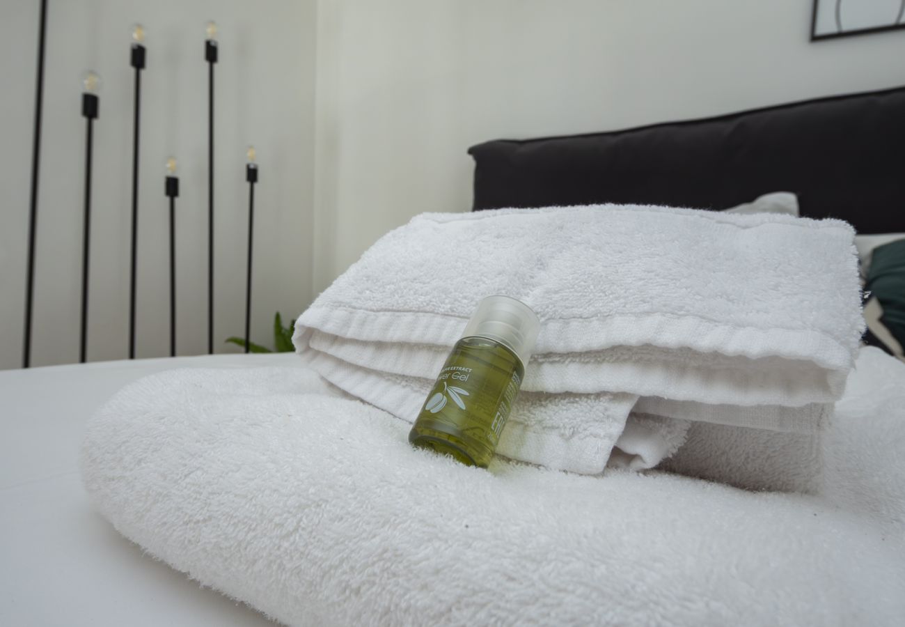Apartment in Milan - Vicolo Fiori - Modern split-level loft in the heart of Brera 
